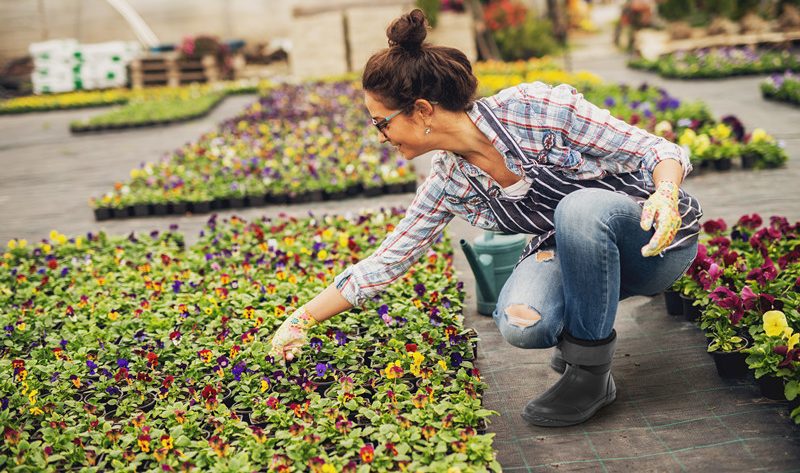 A woman is watering the flowers, wearing her sturdy boots